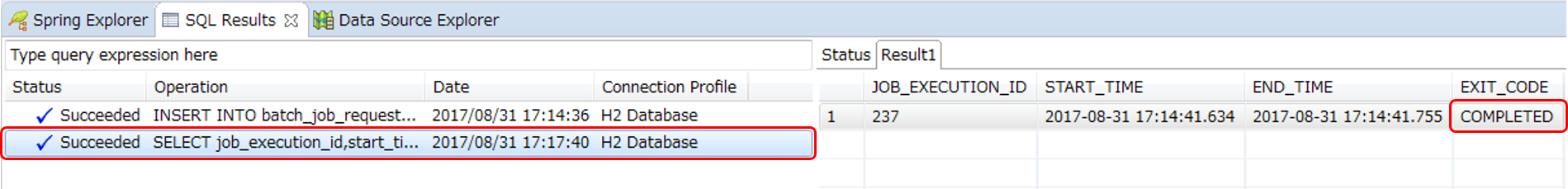 SQL Results View