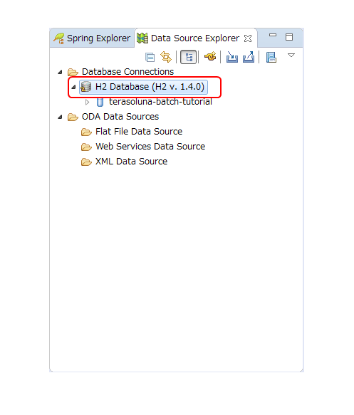 Data Source Explorer View